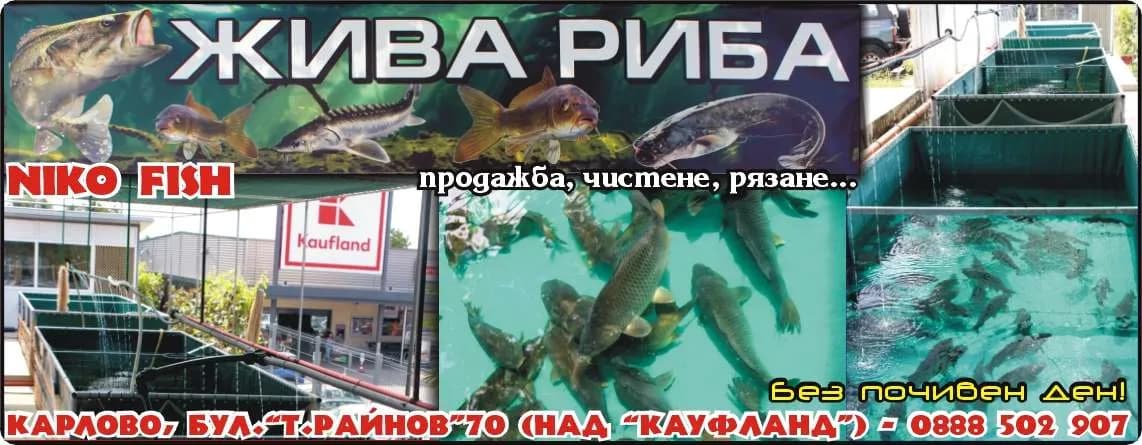 АНЕЛИЯ-НХ - НИКОЛАЙ ЯНЕВ - ПРОИЗВОДСТВО И ТЪРГОВИЯ С ИЗДЕЛИЯ НА ЕЛЕКТРОНИКАТА, ПРОМИШЛЕНИ ИЗДЕЛИЯ, СТОКИ ЗА БИТА И СУВЕНИРИ, ПР…