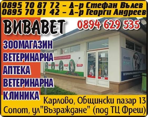 ВИВАВЕТ - АНДРЕЕВ СИЕ ВЪЛЕВ - ВЪТРЕШНА И ВЪНШНА ТЪРГОВИЯ СЪС СТОКИ И УСЛУГИ, ВНОС, ИЗНОС, РЕЕКСПОРТ, БАРТЕРНИ СДЕЛКИ, ПРЕВОЗ НА ПЪ…