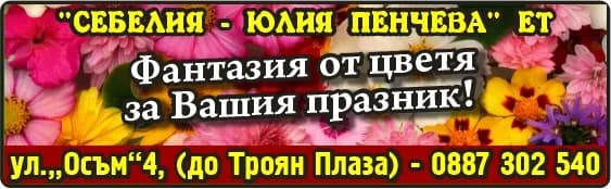 СЕБЕЛИЯ-ЮЛИЯ ПЕНЧЕВА - ПРОИЗВОДСТВО И ПРОДАЖБА НА: ЦВЕТЯ, КОШНИЦИ С ЦВЕТЯ И ИЗДЕЛИЯ С ЦВЕТЯ, ПОСАДЪЧЕН МАТЕРИАЛ ЗА ЗАЛЕСЯВА…