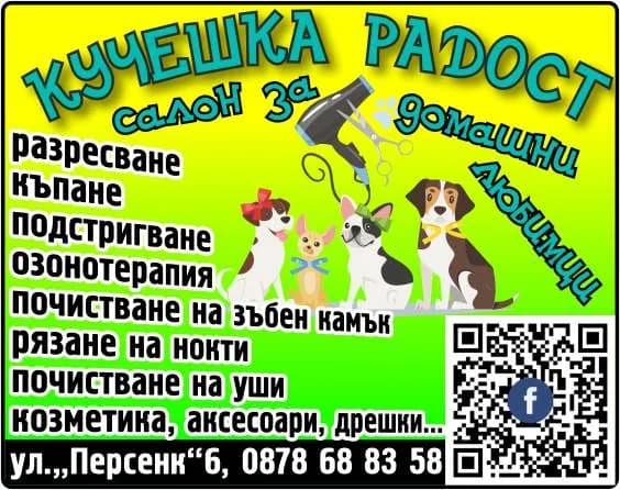 ДАРМА 19 - внос и износ на стоки в България, страни-членки на Европейския съюз и трети страни; дизайн и услуги …