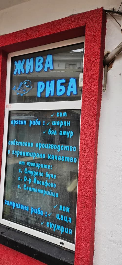 АСЯ РАПОНСКА - ПОКУПКА НА СТОКИ ИЛИ ДРУГИ ВЕЩИ С ЦЕЛ ПРЕПРОДАЖБА В ПЪРВОНАЧАЛЕН, ОБРАБОТЕН ИЛИ ПРЕРАБОТЕН ВИД, НА Е…