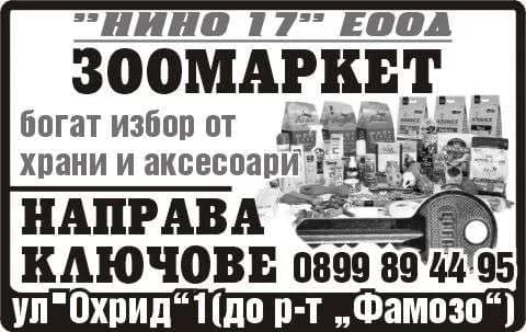 НИНО 17 - Търговия с промишлени и непромишлени стоки; внос, износ, реекспорт; разкриване и експлоатация на маг…