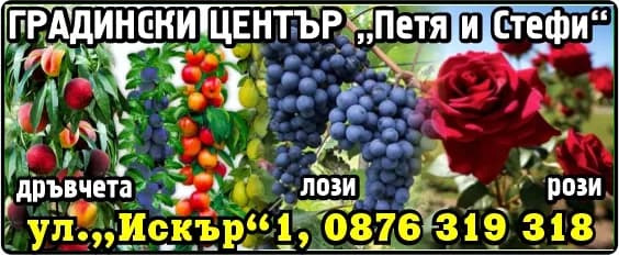ПЕТЯ И СТЕФИ - ПЕТЯ НИКОЛОВА - ПОКУПКА НА ХРАНИТЕЛНИ И НЕХРАНИТЕЛНИ СТОКИ И ДРУГИ ВЕЩИ С ЦЕЛ ПРЕПРОДАЖБА В ПЪРВОНАЧАЛЕН, ПРЕРАБОТЕН…