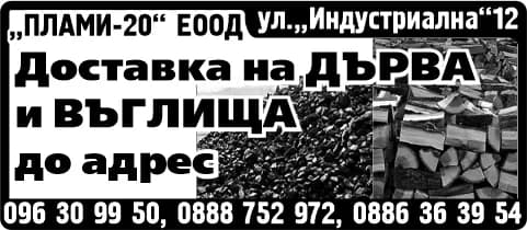 ПЛАМИ - 20 - ПОКУПКА НА СТОКИ И ДРУГИ ВЕЩИ С ЦЕЛ ПРОДАЖБА В ПЪРВОНАЧАЛЕН, ОБРАБОТЕН ИЛИ ПРЕРАБОТЕН ВИД, НА ЕДРО И…