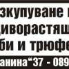 Изкупуване на, ...